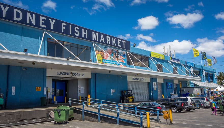 Sydney-Fish-Market