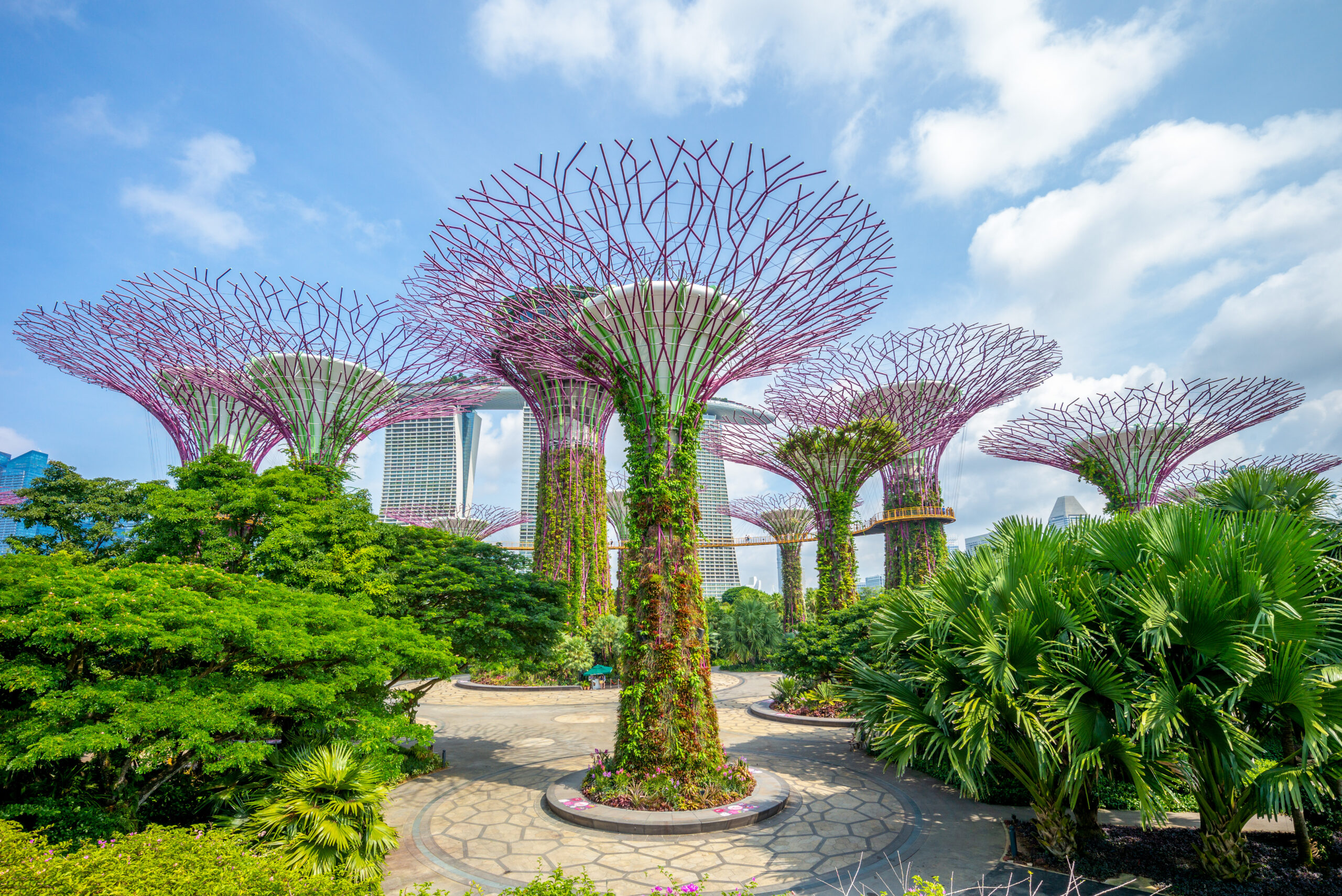 Landscape,Of,Gardens,By,The,Bay,In,Singapore